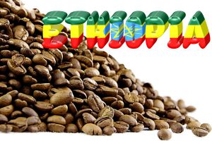 KAWA ETIOPIA Yirgacheffe z palarnii kawy - ŚWIEŻO PALONA